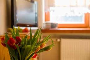Apartament Halo Wisła